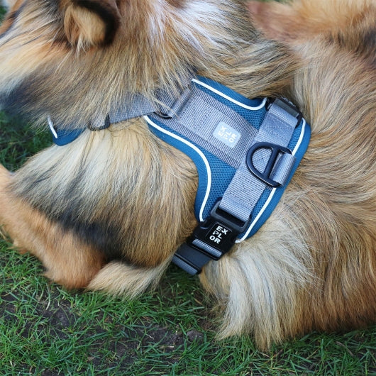 Hundegeschirr Duvoplus EXPLOR Ultimate Fit No-Pull-Geschirr - Undercover Grün Schwarz Blau