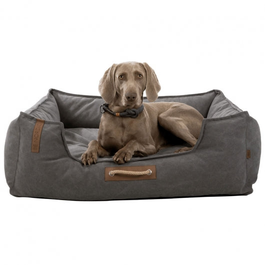 Hundebetten und Hundekissen