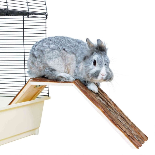 Trixie Brücke zum Verlassen des Käfigs