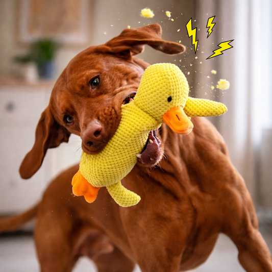 Plüschente quietschend für Hunde