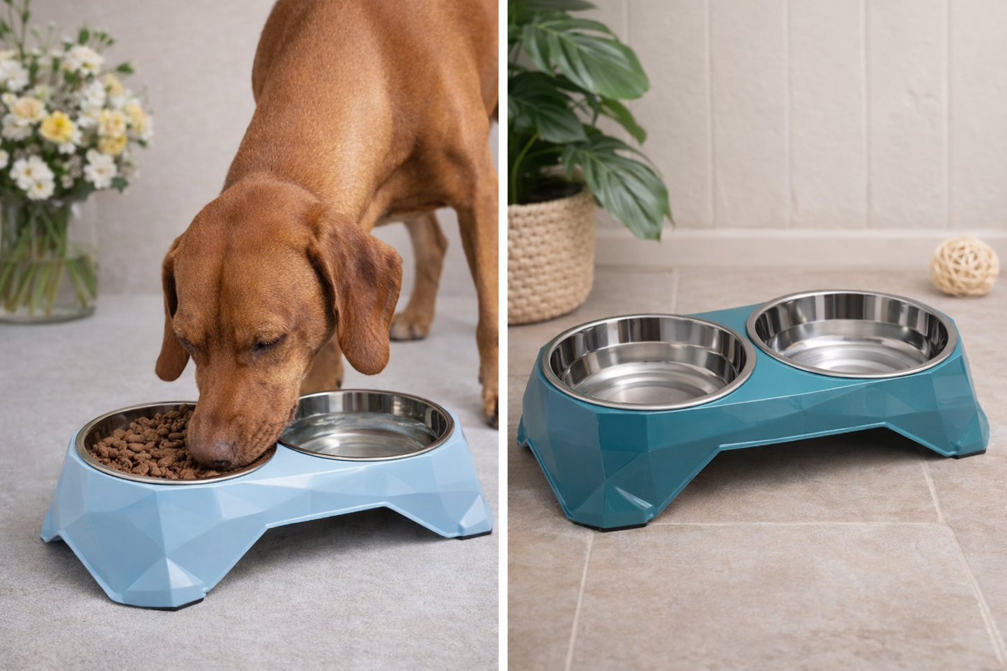 Bunter Haustier-Doppel-Futternapf– Rutschfest, Abnehmbar und Leicht zu Reinigen